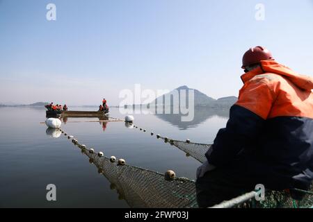 24 maggio 2021, Zaozhuang, Zaozhuang, Cina: Il 23 maggio 2021 è stata inaugurata la prima festa di pesca del lago Yanma a Zaozhuang, nella provincia di Shandong. Questo evento ha attirato quasi 10,000 visitatori. L'evento ha anche attirato i turisti ad acquistare pesce fresco sul posto. Secondo le statistiche preliminari in quel giorno, l'asta del pesce capo da solo ha portato più di 40,000 yuan in reddito alla cooperativa... Più tardi, il vincitore del premio ''Fish King'' Ji Yanjun ha detto: ''sono molto entusiasta di poter fare un'offerta per un re del pesce di 90-jin, ma per restituire alla natura, ho messo il re del pesce d'offerta di nuovo al lago Yanma. La natura è un Foto Stock