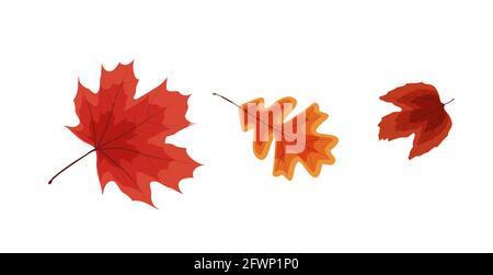 Foglie cadenti vivaci e colorate dell'autunno. Illustrazione vettoriale Illustrazione Vettoriale