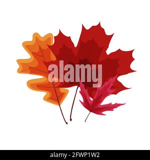 Foglie cadenti vivaci e colorate dell'autunno. Illustrazione vettoriale Illustrazione Vettoriale