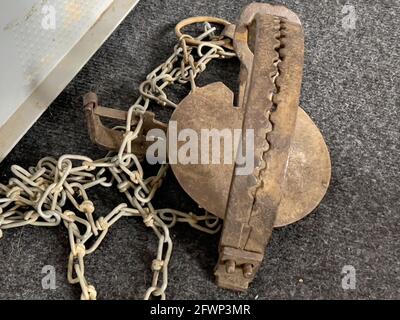 Vecchia trappola di orso arrugginito a terra Foto Stock