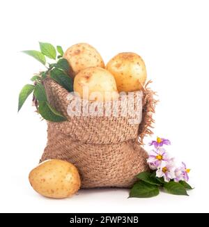 Materie le patate in una sacca di tela isolati su sfondo bianco Foto Stock