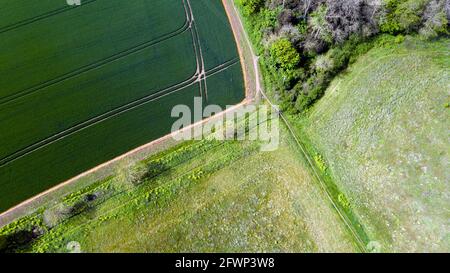 Vista aerea dei margini del campo, Coldblow Farm, Ripple, Walmer, Kent Foto Stock