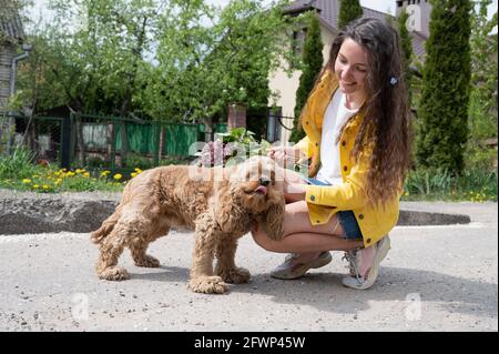 Giovane bella ragazza che cammina il cane in una giornata di sole. Foto Stock