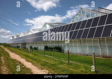 Moduli fotovoltaici, pannelli solari su serre di un vivaio a Pulheim-Sinnersdorf, Nord Reno-Westfalia, Germania. Photolvoltaikanlage, così Foto Stock