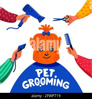 Concetto di cura degli animali domestici. Buon lap-dog e mani con pettine, asciugacapelli, forbici e regolacapelli su sfondo bianco. Cura del cane, cura del corpo, igiene Illustrazione Vettoriale