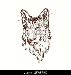 FOX ritratto. Inchiostro nero e bianco doodle disegno in legno stile. Foto Stock