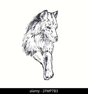 Ritratto di Wolf. Inchiostro nero e bianco doodle disegno in legno stile. Foto Stock