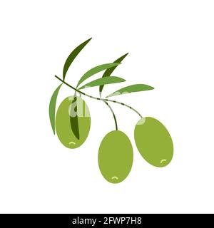 Olive verdi leggere su un ramo, cibo sano, clipart vettoriali in stile piatto, isolato su bianco Illustrazione Vettoriale