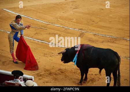 Tudela, Spagna. 23 maggio 2020. Daniel Barbero si esibisce con un toro da combattimento del ranch El Canario presso la Plaza de Toros Tudela (Plaza de Toros de Tudela) di Tudela. Sei tori dell'allevamento di bestiame 'El Canario' di Salamanca, in Spagna, hanno partecipato alle corride di oggi, 23 maggio, dai giovani corrieri Daniel de la Fuente, Daniel Barbero e Diego Garcìa nell'arena di Tudela, Navarra, in Spagna. Il rispetto della capacità in ogni momento con le misure del Covid 19. (Foto di Elsa A Bravo/SOPA Images/Sipa USA) Credit: Sipa USA/Alamy Live News Foto Stock