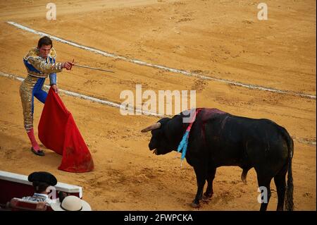 Tudela, Navarra, Spagna. 23 maggio 2020. Daniel Barbero si esibisce con un toro da combattimento del ranch El Canario presso la Plaza de Toros Tudela (Plaza de Toros de Tudela) a Tudela.sei tori dell'allevamento bovino ''El Canario'' di Salamanca, in Spagna, hanno partecipato oggi 23 maggio ai corride dei giovani bullfighters Daniel de la Fuente, Daniel Barbero e Diego GarcÃŒa nell'arena di Tudela, Navarra, Spagna. Il rispetto della capacità in ogni momento con le misure del Covid 19. Credit: Elsa A Bravo/SOPA Images/ZUMA Wire/Alamy Live News Foto Stock