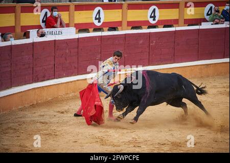 Tudela, Navarra, Spagna. 23 maggio 2020. Daniel Barbero si esibisce con un toro da combattimento del ranch El Canario presso la Plaza de Toros Tudela (Plaza de Toros de Tudela) a Tudela.sei tori dell'allevamento bovino ''El Canario'' di Salamanca, in Spagna, hanno partecipato oggi 23 maggio ai corride dei giovani bullfighters Daniel de la Fuente, Daniel Barbero e Diego GarcÃŒa nell'arena di Tudela, Navarra, Spagna. Il rispetto della capacità in ogni momento con le misure del Covid 19. Credit: Elsa A Bravo/SOPA Images/ZUMA Wire/Alamy Live News Foto Stock