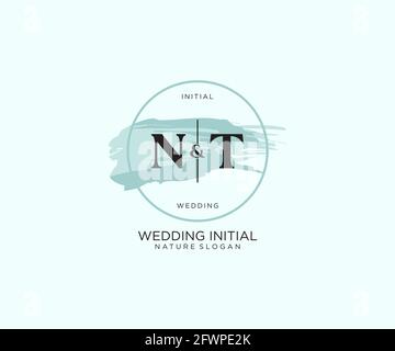 NT Letter Beauty Vector Initial logo, handwriting logo della firma iniziale, matrimonio, moda, gioielli, boutique, floreale e botanico con t creativo Illustrazione Vettoriale