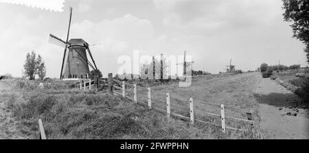 Mills near Kinderdijk, 17 luglio 1957, MOLENS, Paesi Bassi, foto agenzia stampa del xx secolo, notizie da ricordare, documentario, fotografia storica 1945-1990, storie visive, Storia umana del XX secolo, che cattura momenti nel tempo Foto Stock