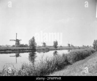 Mills on the Kinderdijk, 1 luglio 1961, MOLENS, Paesi Bassi, foto agenzia stampa del xx secolo, notizie da ricordare, documentario, fotografia storica 1945-1990, storie visive, Storia umana del XX secolo, che cattura momenti nel tempo Foto Stock