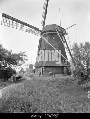 Mills on the Kinderdijk, 1 luglio 1961, MOLENS, Paesi Bassi, foto agenzia stampa del xx secolo, notizie da ricordare, documentario, fotografia storica 1945-1990, storie visive, Storia umana del XX secolo, che cattura momenti nel tempo Foto Stock