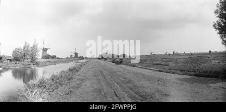 Mills near Kinderdijk, 17 luglio 1957, MOLENS, Paesi Bassi, foto agenzia stampa del xx secolo, notizie da ricordare, documentario, fotografia storica 1945-1990, storie visive, Storia umana del XX secolo, che cattura momenti nel tempo Foto Stock