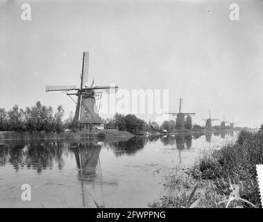 Mills on the Kinderdijk, 1 luglio 1961, MOLENS, Paesi Bassi, foto agenzia stampa del xx secolo, notizie da ricordare, documentario, fotografia storica 1945-1990, storie visive, Storia umana del XX secolo, che cattura momenti nel tempo Foto Stock