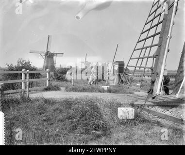 Mills on the Kinderdijk, 1 luglio 1961, MOLENS, Paesi Bassi, foto agenzia stampa del xx secolo, notizie da ricordare, documentario, fotografia storica 1945-1990, storie visive, Storia umana del XX secolo, che cattura momenti nel tempo Foto Stock