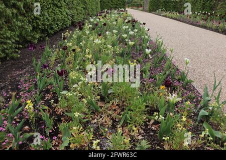 RHS Bridgewater Victorian Gardens, Manchester Foto Stock