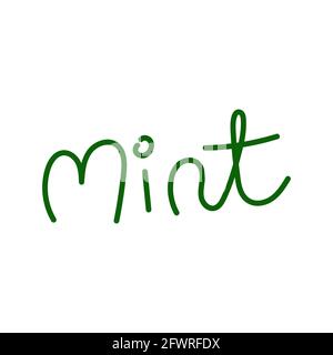 Scritta Mint contorno semplice minimalista disegno piatto illustrazione vettoriale isolato su sfondo bianco Illustrazione Vettoriale