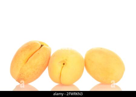 Tre succose albicocche di ananas, primo piano, isolate su bianco. Foto Stock