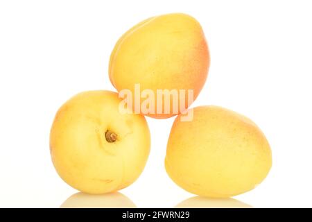 Tre succose albicocche di ananas, primo piano, isolate su bianco. Foto Stock