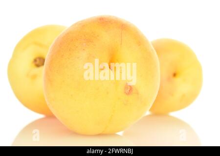 Tre succose albicocche di ananas, primo piano, isolate su bianco. Foto Stock