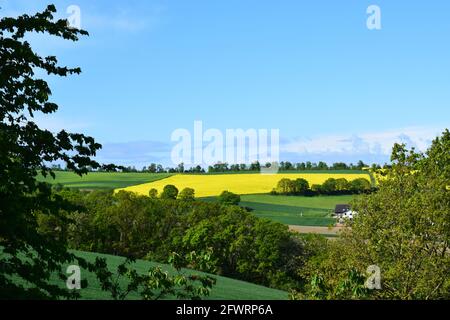 Villaggio Alzheim, parte della piccola città Mayen Foto Stock