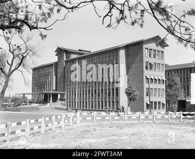 Nuovo edificio KLM sul Raamweg all'Aia, 13 maggio 1949, edifici, Paesi Bassi, foto agenzia stampa del XX secolo, notizie da ricordare, documentario, fotografia storica 1945-1990, storie visive, Storia umana del XX secolo, che cattura momenti nel tempo Foto Stock