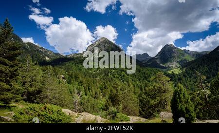 Pianura di Aigüestortes, in estate (Aigüestortes e Parco Nazionale Estany de Sant Maurici, Pirenei, Catalogna, Spagna) Foto Stock