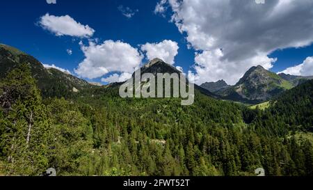 Pianura di Aigüestortes, in estate (Aigüestortes e Parco Nazionale Estany de Sant Maurici, Pirenei, Catalogna, Spagna) Foto Stock