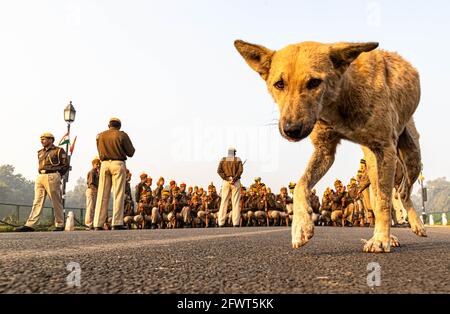 un cane è seduto sulla strada e la polizia di delhi durante le loro prove per il giorno della repubblica indiana a delhi. Foto Stock