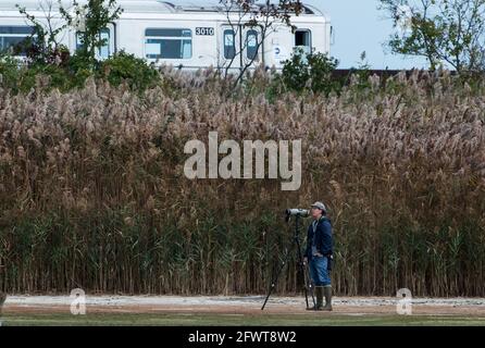 Birdwatching al Jamaica Bay National Wildlife Refuge's East Pond Con il passaggio DI UN treno Foto Stock