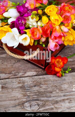 Freesia multicolore in una scatola su un vecchio sfondo di legno. Bellissimi fiori. Foto Stock