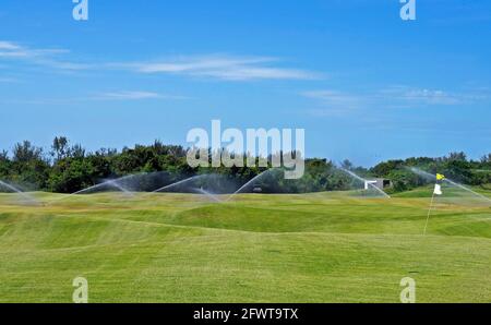 Campo da golf erba innaffiato Foto Stock