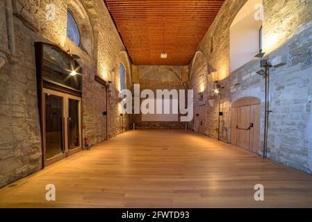 Sala interna del castello del Rei o la Suda (Lleida, Catalogna, Spagna) ESP: Sala interna del Castillo del Rey o la Suda (Lérida, España) Foto Stock