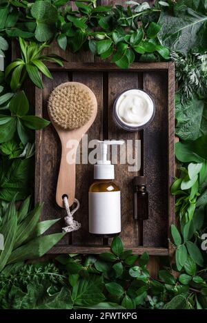 Prodotti cosmetici per la cura della pelle (lozione per il corpo, shampoo per capelli, crema per il viso, olio essenziale) su sfondo foglie verdi, vista dall'alto. Eco bellezza naturale e organi Foto Stock