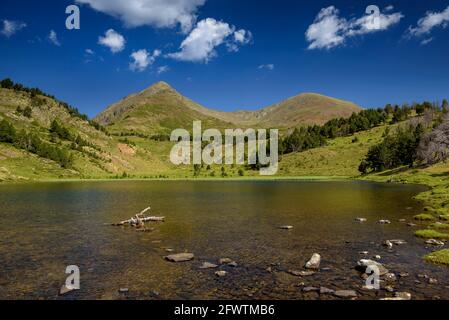 PIC Peric vette gemelle viste dal lago Estany de la Llosa (Pyrenees-Orientales, Francia) Foto Stock