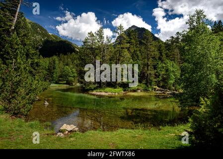 Pianura di Aigüestortes, in estate (Aigüestortes e Parco Nazionale Estany de Sant Maurici, Pirenei, Catalogna, Spagna) Foto Stock