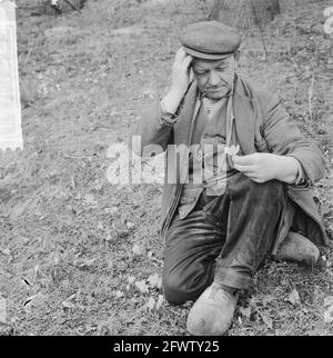 Lo zio Dirk, il giardiniere, guarda i crocus in fiore a Linnaeushof, 26 febbraio 1965, giardinieri, Paesi Bassi, foto agenzia stampa del xx secolo, notizie da ricordare, documentario, fotografia storica 1945-1990, storie visive, Storia umana del XX secolo, che cattura momenti nel tempo Foto Stock