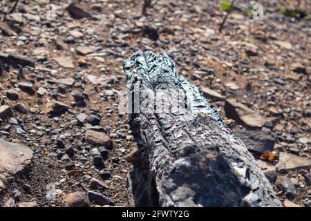Città del Capo, Sudafrica - 21-05-2021 Foto Stock