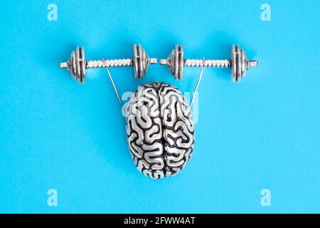 Copia in acciaio del cervello umano con le mani che sollevano i manubri. Il concetto di costruire una mente di acciaio. Foto Stock