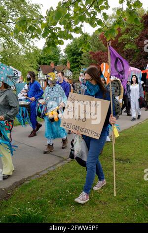 Crisi climatica protesta marzo Chesterfield Derbyshire Regno Unito 2021 Foto Stock