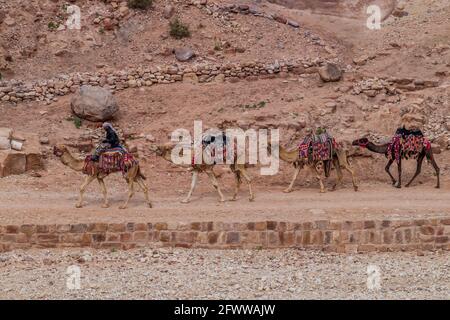 PETRA, GIORDANIA - 23 MARZO 2017: L'uomo locale guida una carovana a cammello nell'antica città di Petra, Giordania Foto Stock