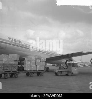 DC 8 verniciato con scritta Viasa, 28 marzo 1961, CORREZIONI, Paesi Bassi, foto agenzia stampa del xx secolo, notizie da ricordare, documentario, fotografia storica 1945-1990, storie visive, Storia umana del XX secolo, che cattura momenti nel tempo Foto Stock