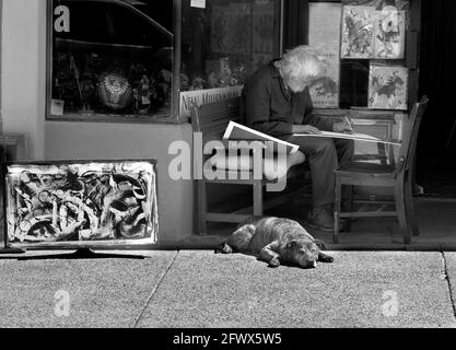 Un artista anziano lavora su un disegno mentre si siede all'ombra davanti ad una galleria d'arte con il suo cane da compagnia al suo fianco a Santa Fe, New Mexico. Foto Stock