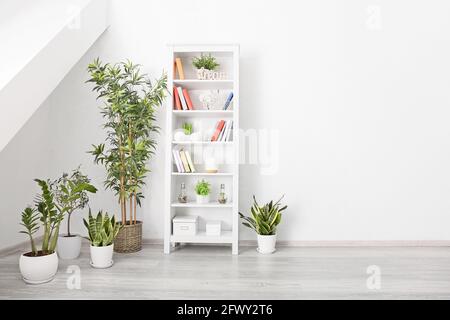 Scaffale con libri e piante da casa all'interno della luce camera Foto  stock - Alamy