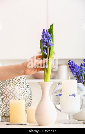 Donna che mette bel fiore di giacinto in vaso sul tavolo Foto Stock