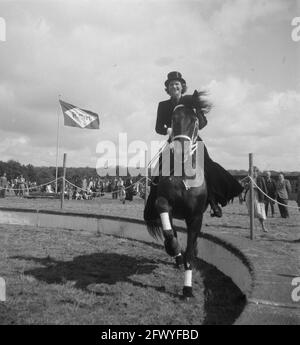 Regina Strassburger a cavallo, 9 gennaio 1950, cavalli, dressage cavallo, I Paesi Bassi, foto agenzia stampa del XX secolo, notizie da ricordare, documentario, fotografia storica 1945-1990, storie visive, Storia umana del XX secolo, che cattura momenti nel tempo Foto Stock