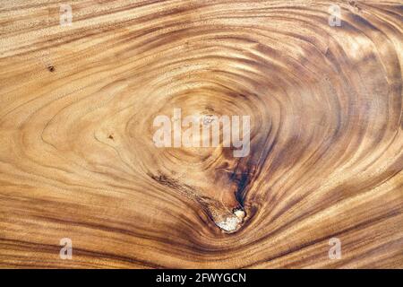 Fantastica struttura di grande lastra laccata in legno di suar con nodo estremo primo piano Foto Stock